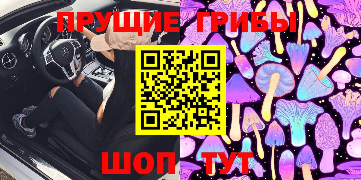 Вольск  Галлюциногенные грибы Cubensis  Вход с VPN 